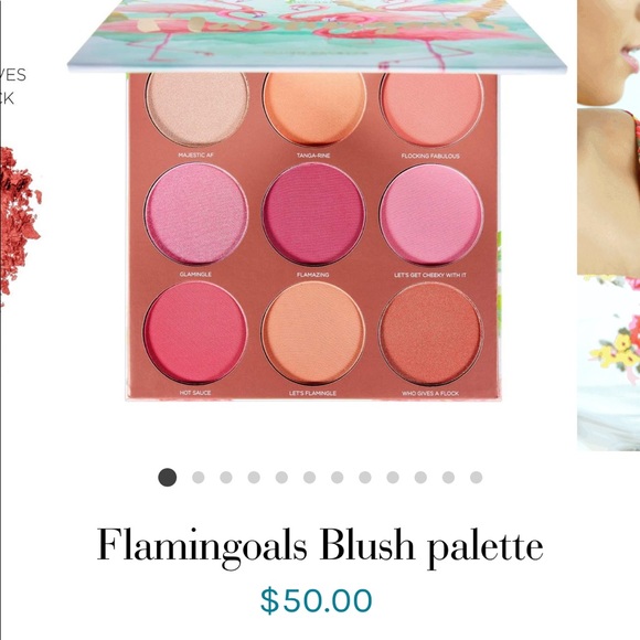 New!!! Set of Mia Del Mar Blush and Bronzer - Picture 6 of 6